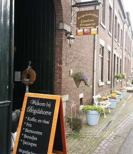 Daire Brigidahoeve Maastricht