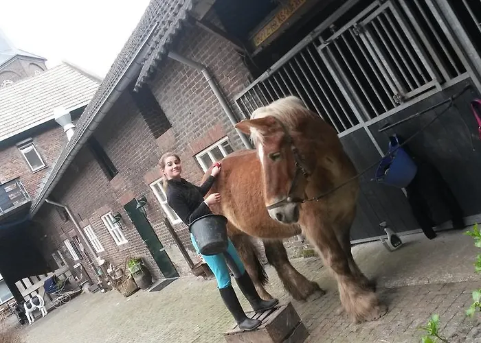 Daire Brigidahoeve Maastricht