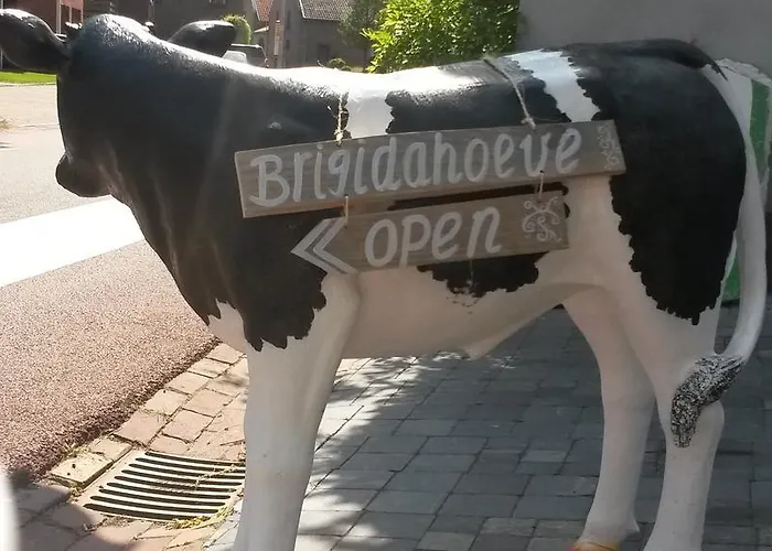 Brigidahoeve
