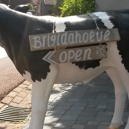 Brigidahoeve