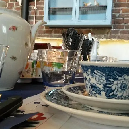 公寓 Brigidahoeve *