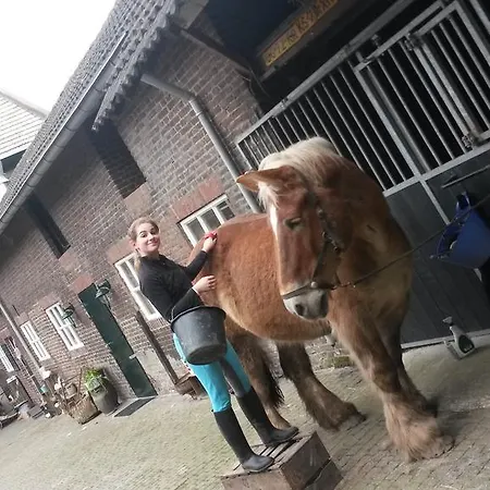 Apartamento Brigidahoeve Maastricht